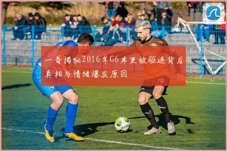 一哥揭秘2016年G6库里被驱逐背后真相与情绪爆发原因